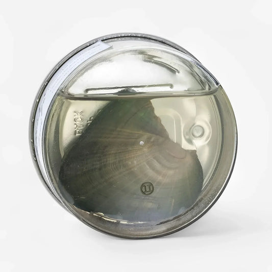 Water Shell Canned Oyster Ocean Love Real Pearl Necklace Set